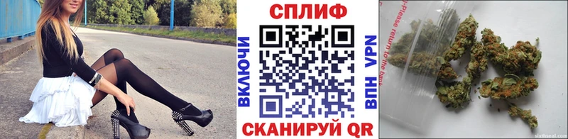 Шишки марихуана ГИДРОПОН  купить наркотик  Стародуб 